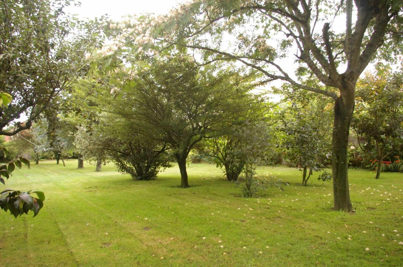 Villa Vivienda rústica con jardín y patio interior Vilanova de Arousa Exterior foto
